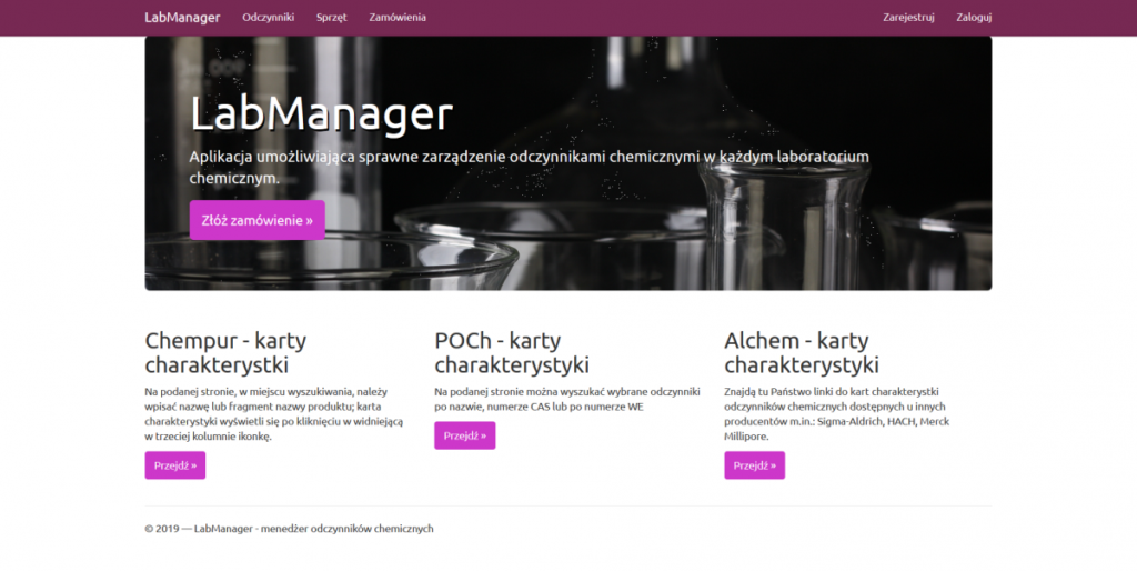 przyszły programista opinie